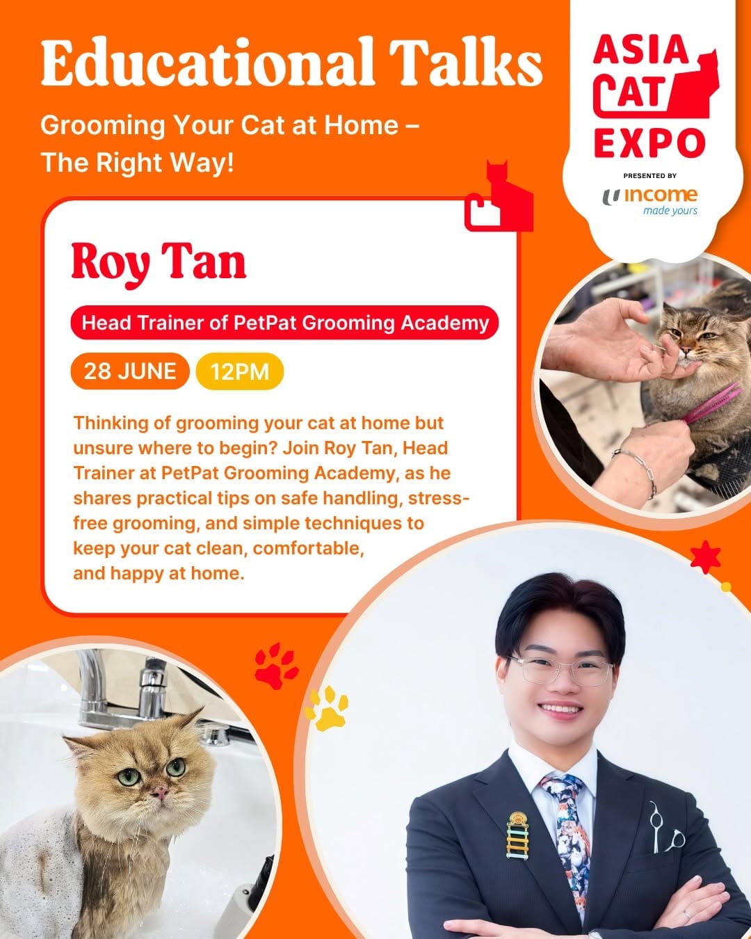 Post 4 by PetPat Gentle & Fear Free Cat Grooming Salon on Instagram (carousel)