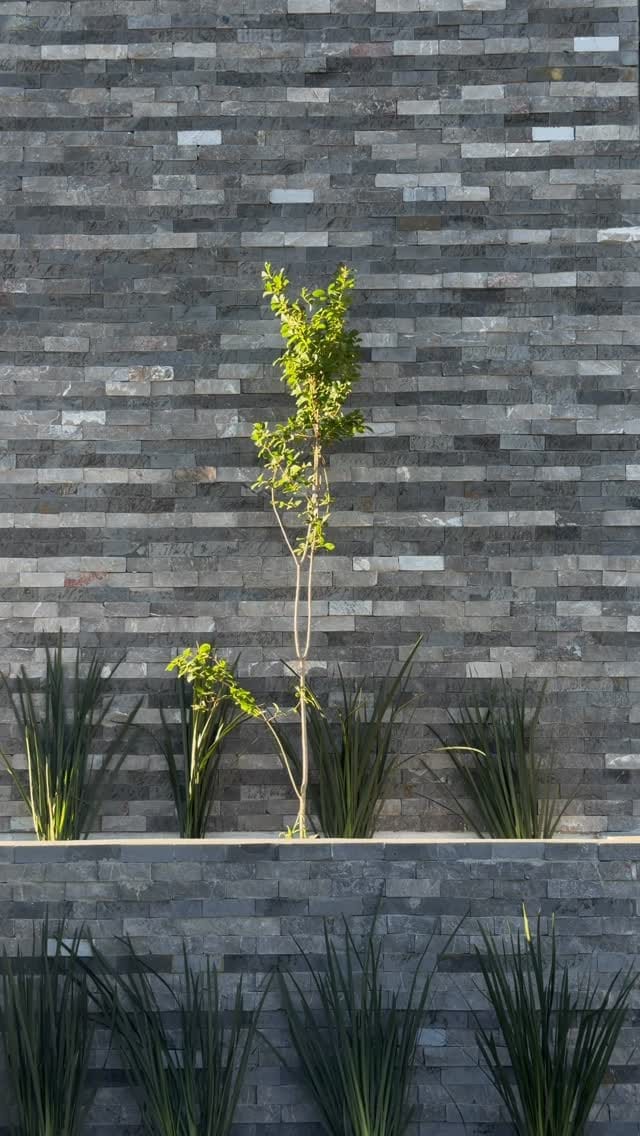Post 5 by ELMNTOS arquitectura on Instagram (video)