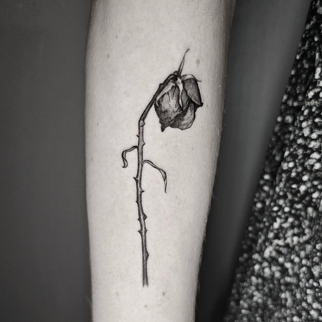 Post 5 by Nadia Castigo on Instagram (image)
