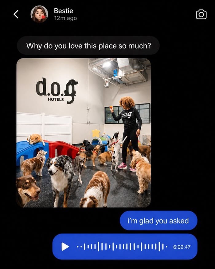 Post 2 by DOG Hotels Brickell on Instagram (image)