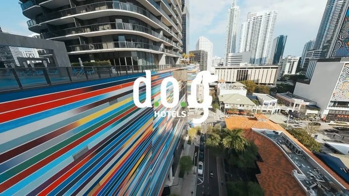 Post 10 by DOG Hotels Brickell on Instagram (video)