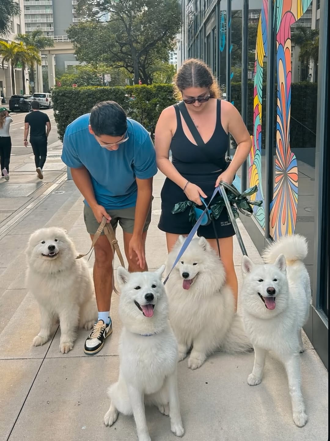 Post 7 by DOG Hotels Brickell on Instagram (image)