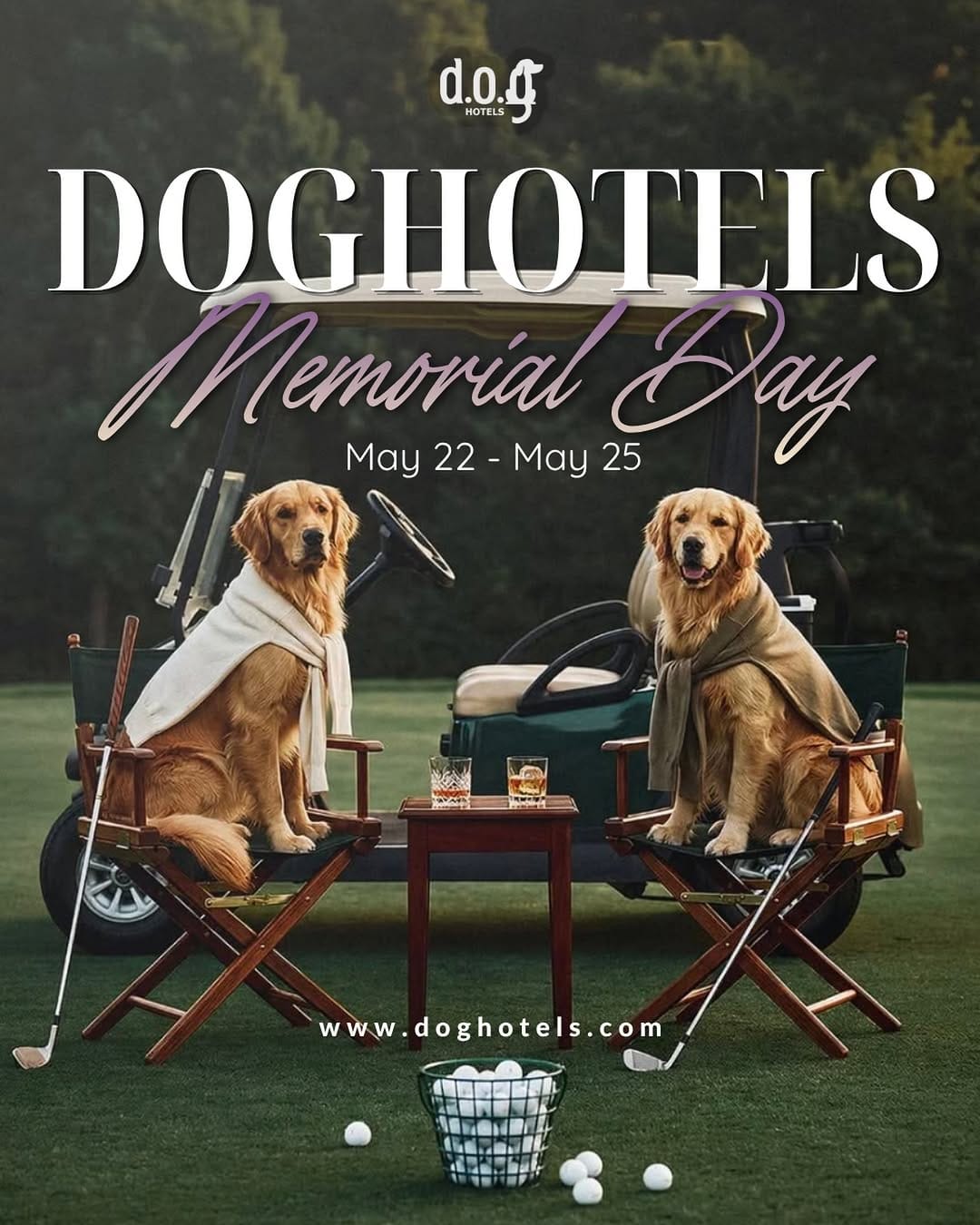 Post 1 by DOG Hotels Brickell on Instagram (image)
