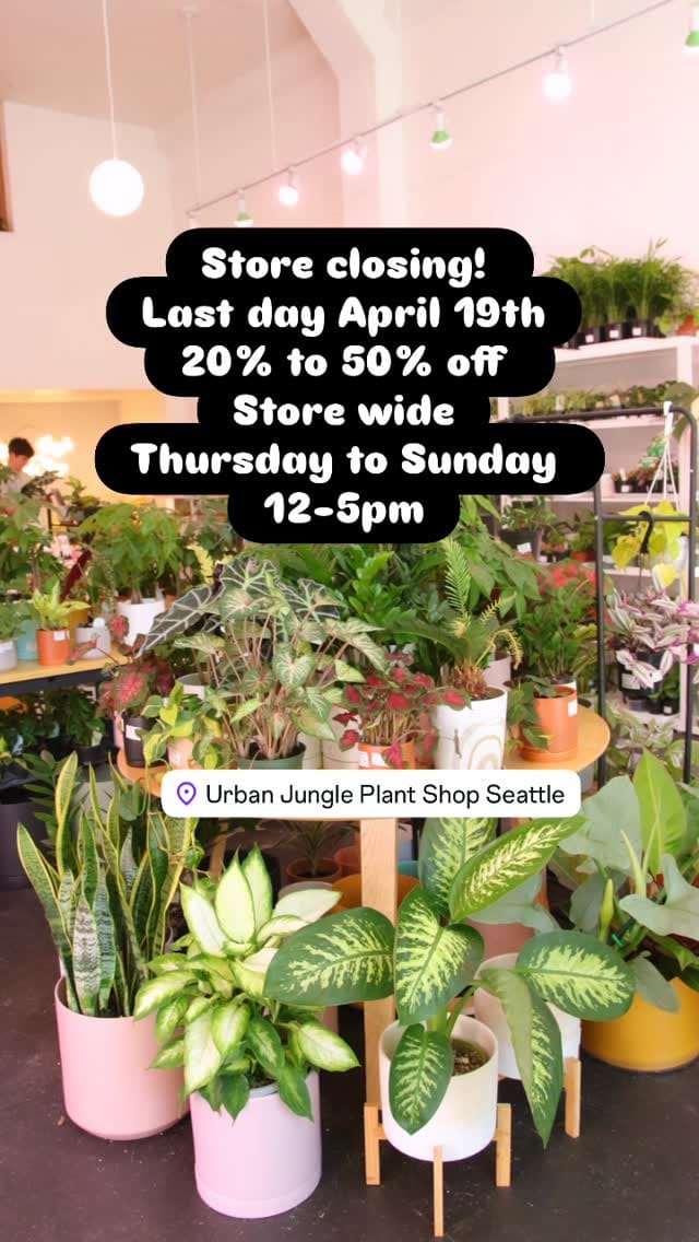 Post 4 by Urban Jungle on Instagram (video)