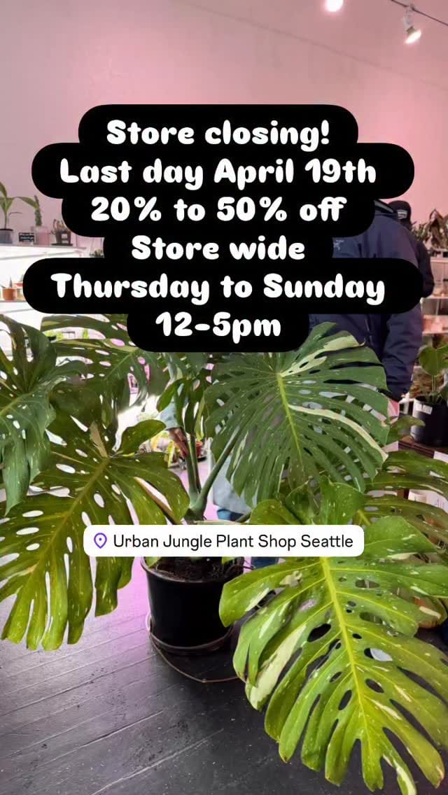Post 3 by Urban Jungle on Instagram (video)