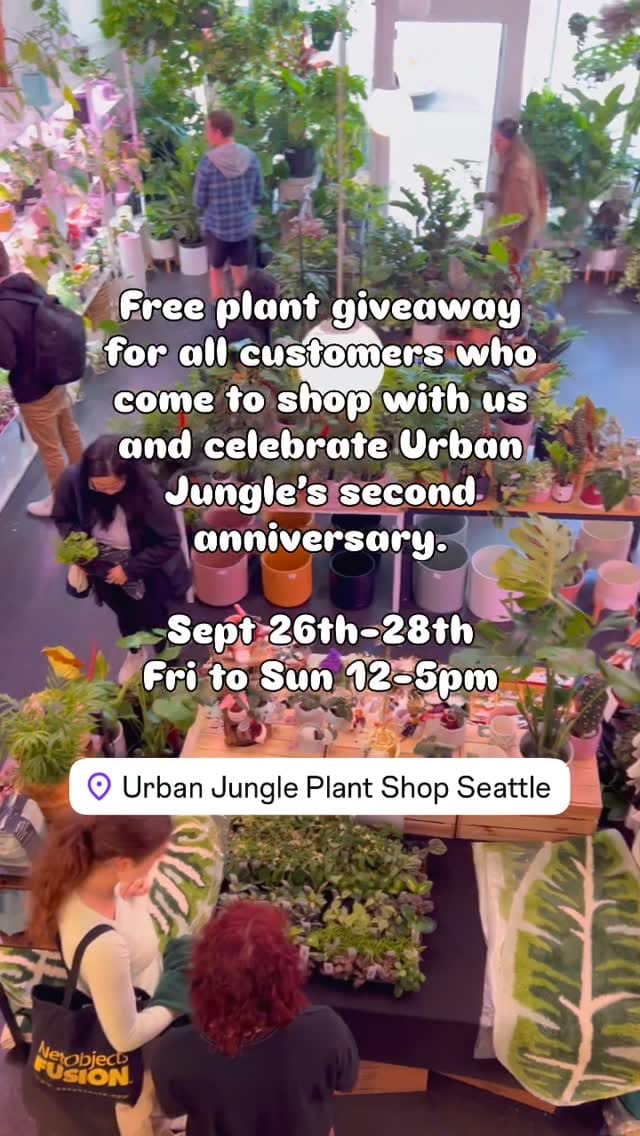Post 6 by Urban Jungle on Instagram (video)