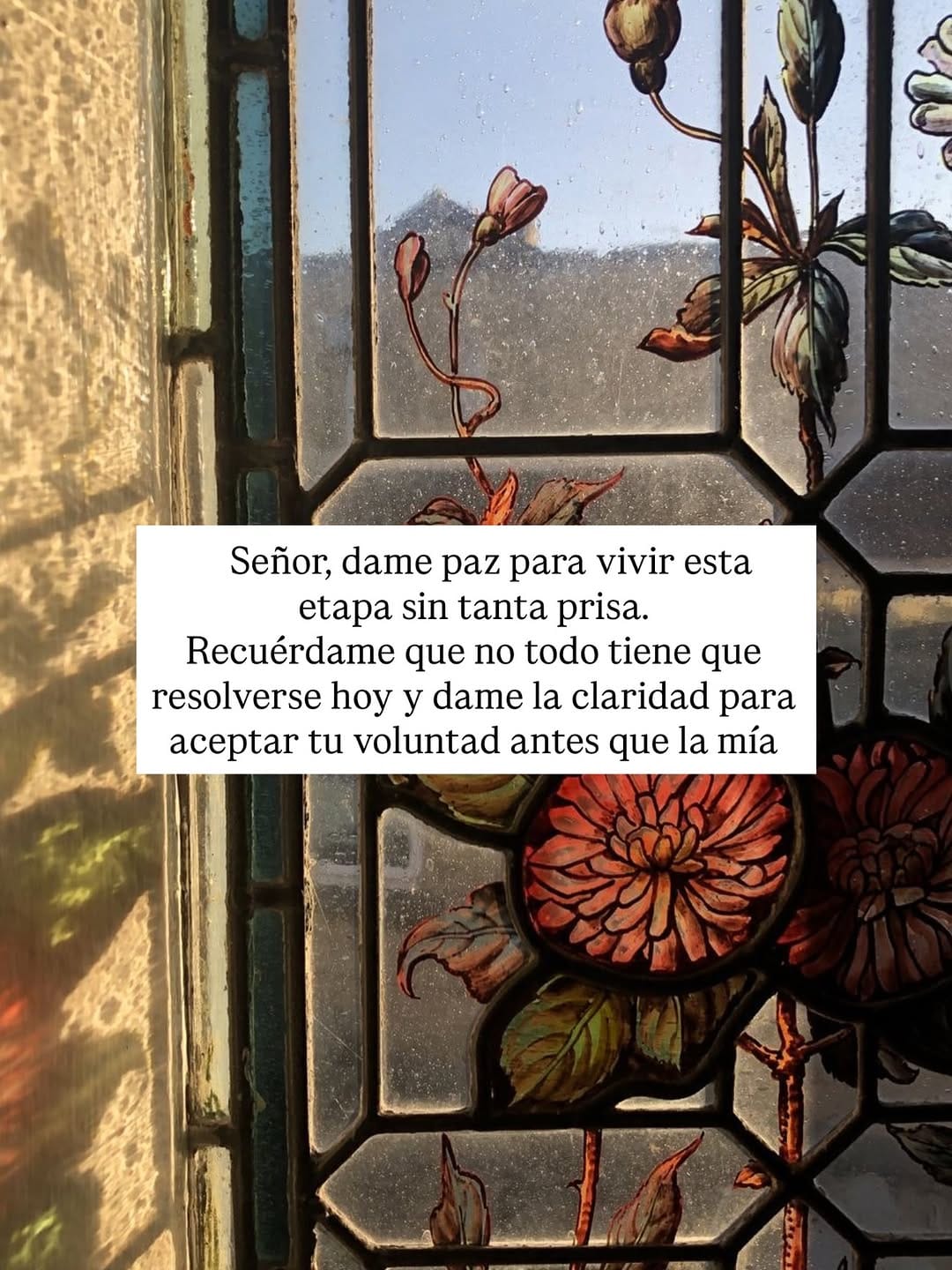 Post 1 by Dra. Daniela Lescano| Medicina y Nutrición Funcional on Instagram (carousel)