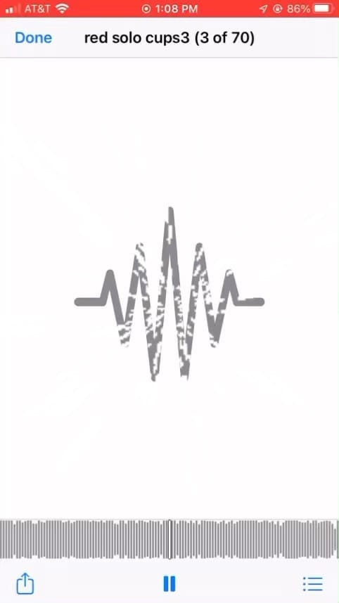 Post 6 by Daine Steele on Instagram (video)