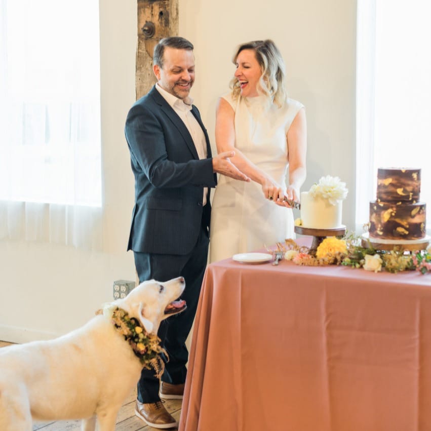 Post 10 by Seattle Tiny Wedding on Instagram (image)