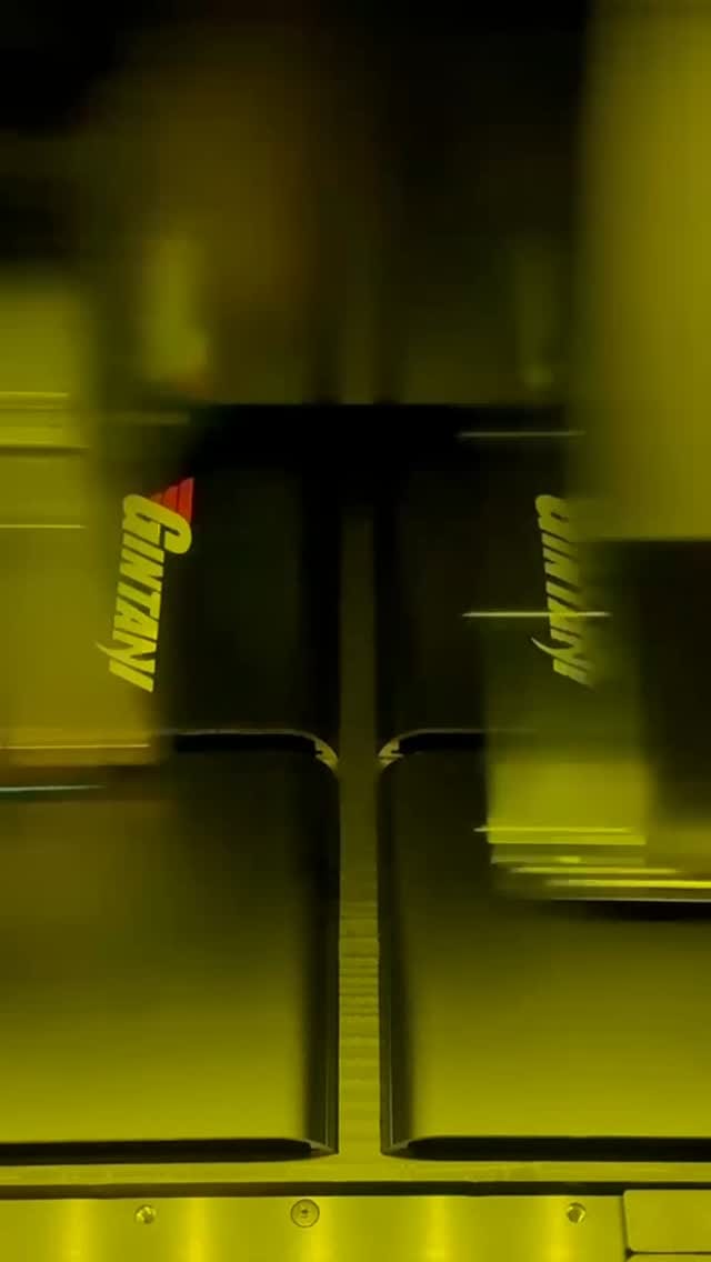 Post 9 by Gintani on Instagram (video)