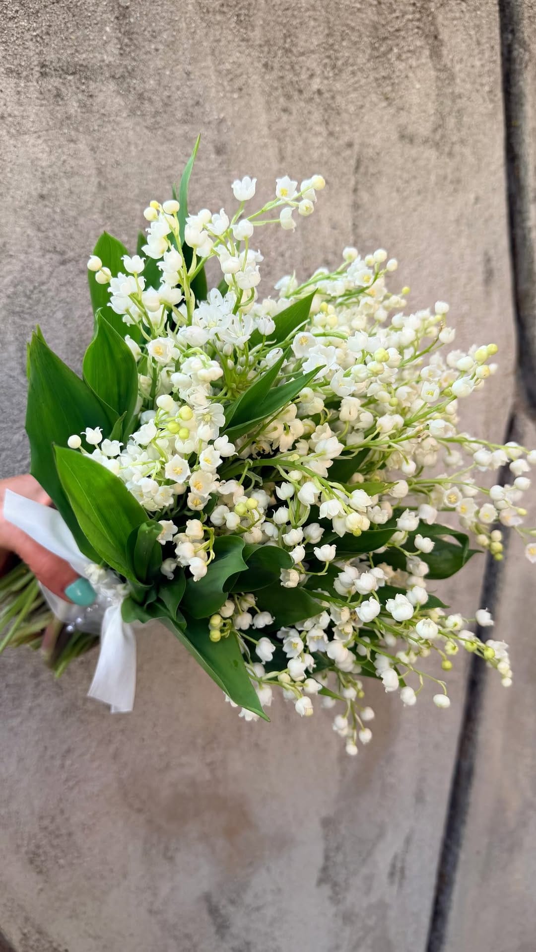 Post 3 by LA FÊTE  floral & events on Instagram (video)