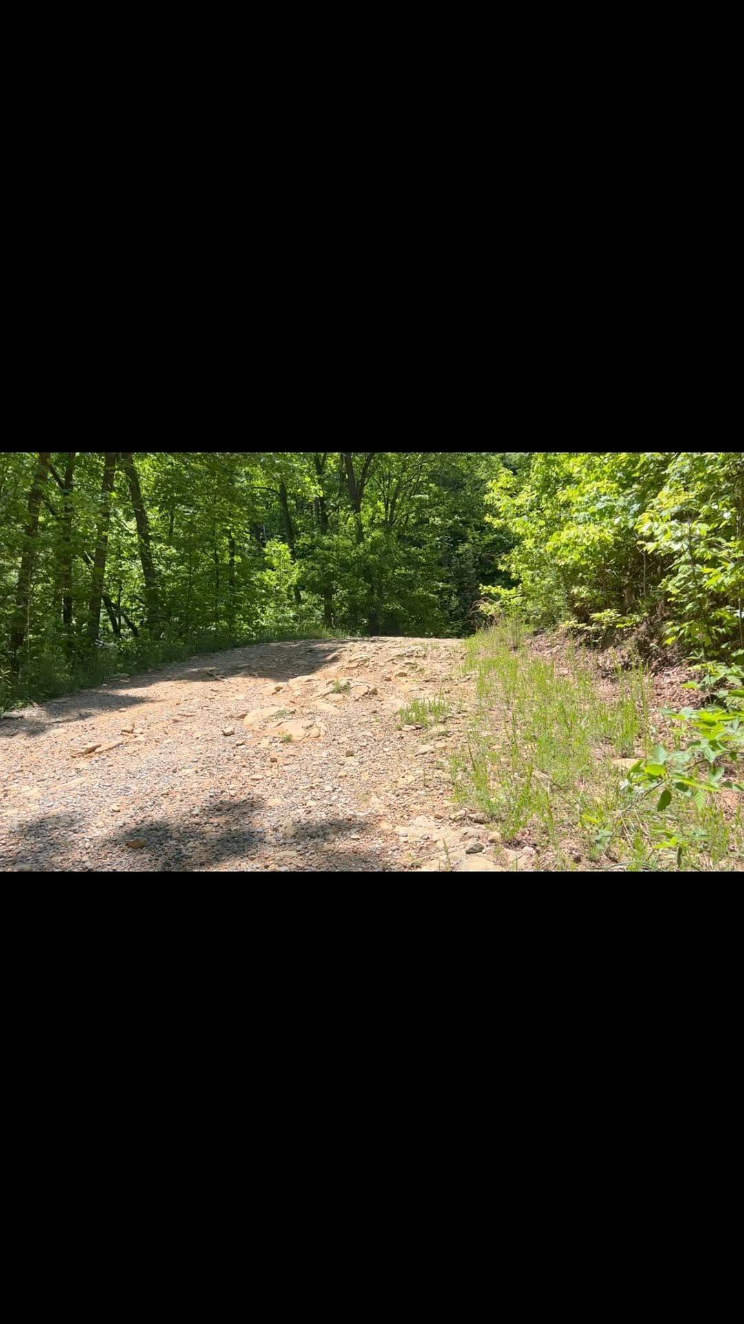 Post 8 by Jamie Wiseman on Instagram (video)