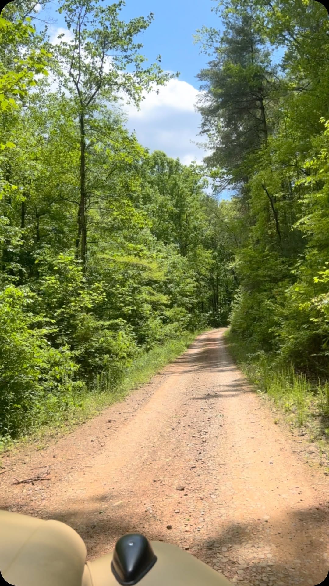 Post 3 by Jamie Wiseman on Instagram (video)