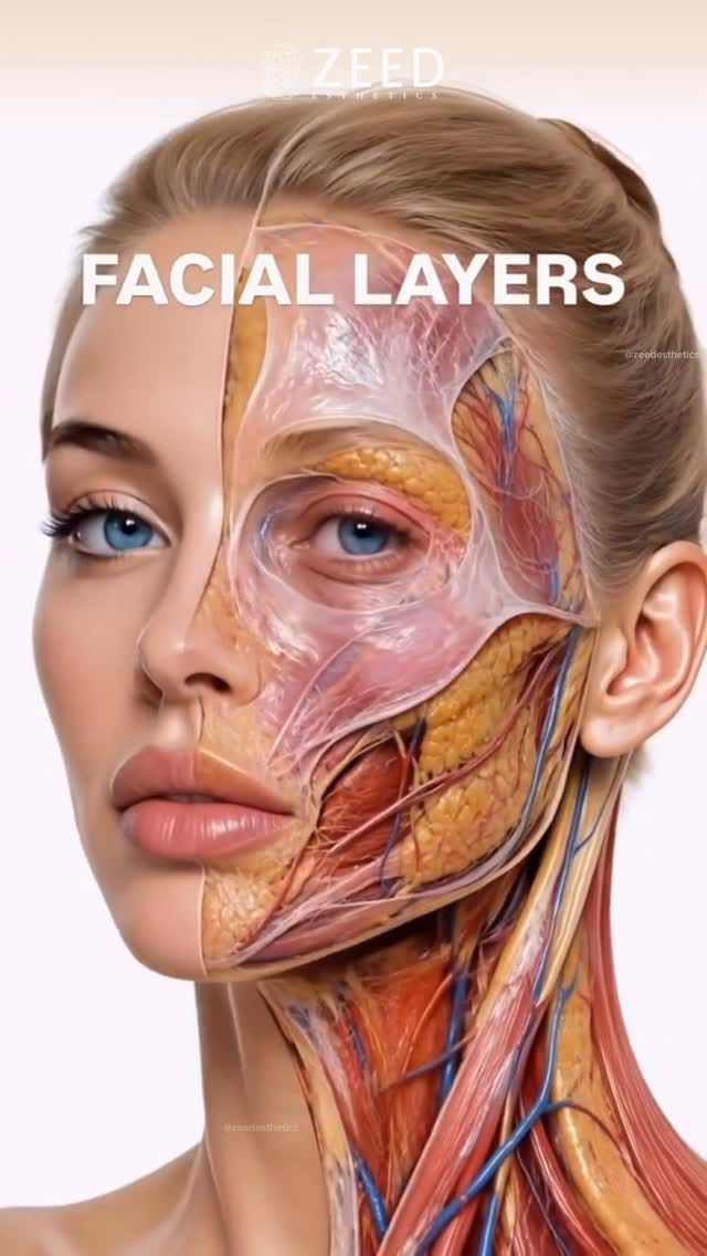 Post 4 by Dr.MohamadZeed/Plastic Surgeon on Instagram (video)