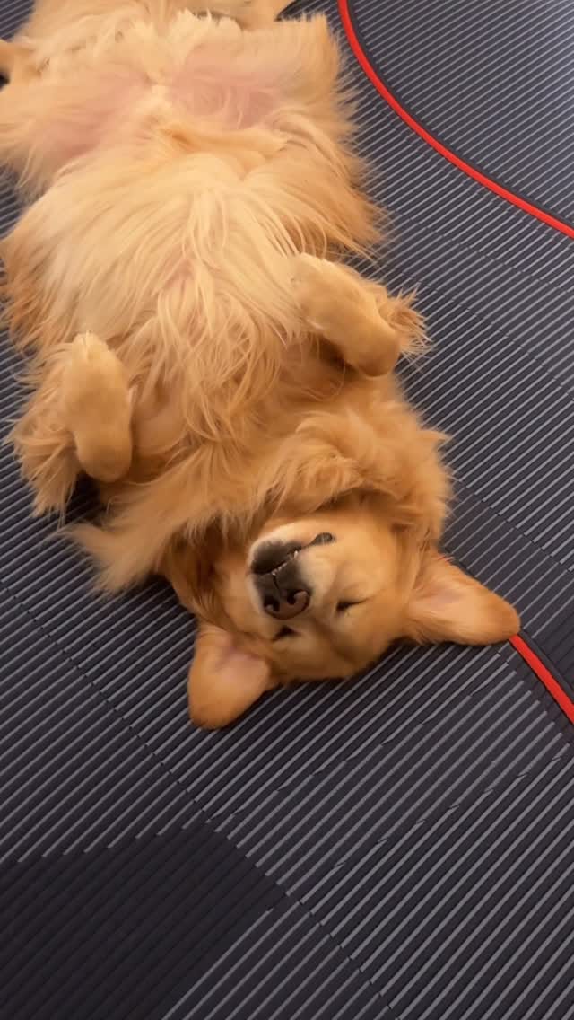 Post 8 by Sealy on Instagram (video)