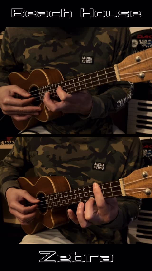 Post 2 by David Akira Fertello on Instagram (video)
