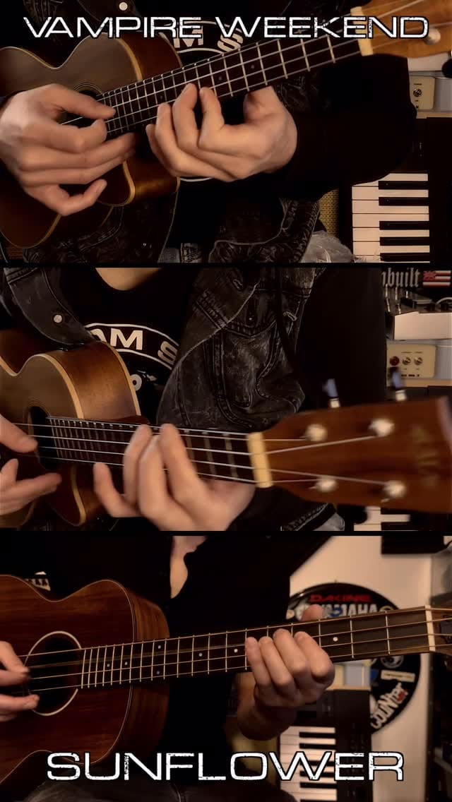 Post 6 by David Akira Fertello on Instagram (video)