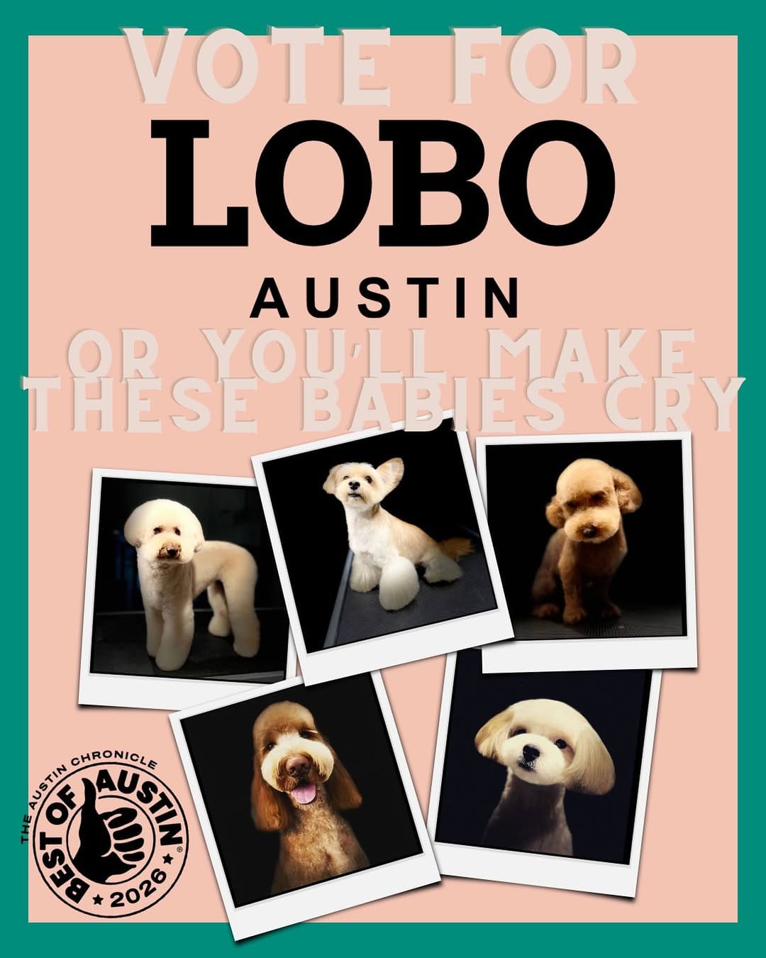 Post 3 by LOBO Austin on Instagram (image)