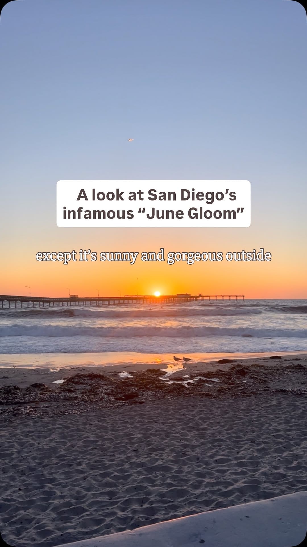 Post 3 by San Diego Events and Beach Day Rentals on Instagram (video)