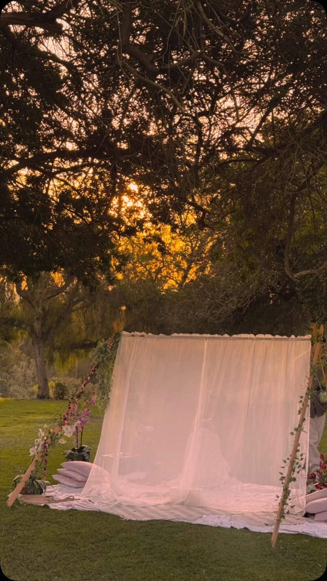 Post 6 by San Diego Events and Beach Day Rentals on Instagram (video)
