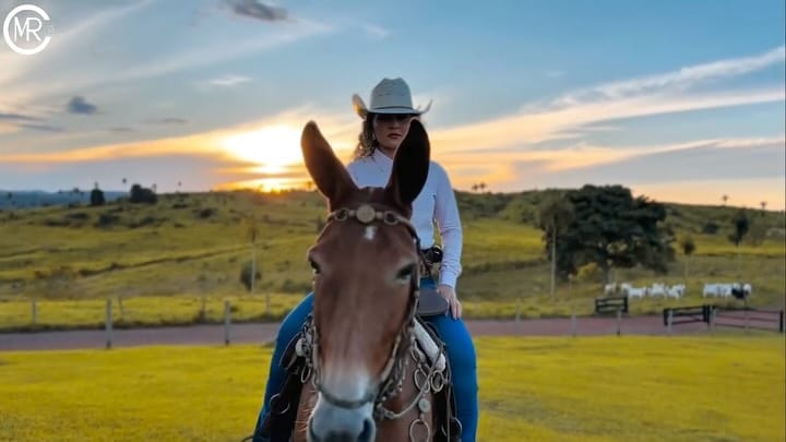 Post 1 by Natura Araguaína - Espaço da Márcia on Instagram (video)