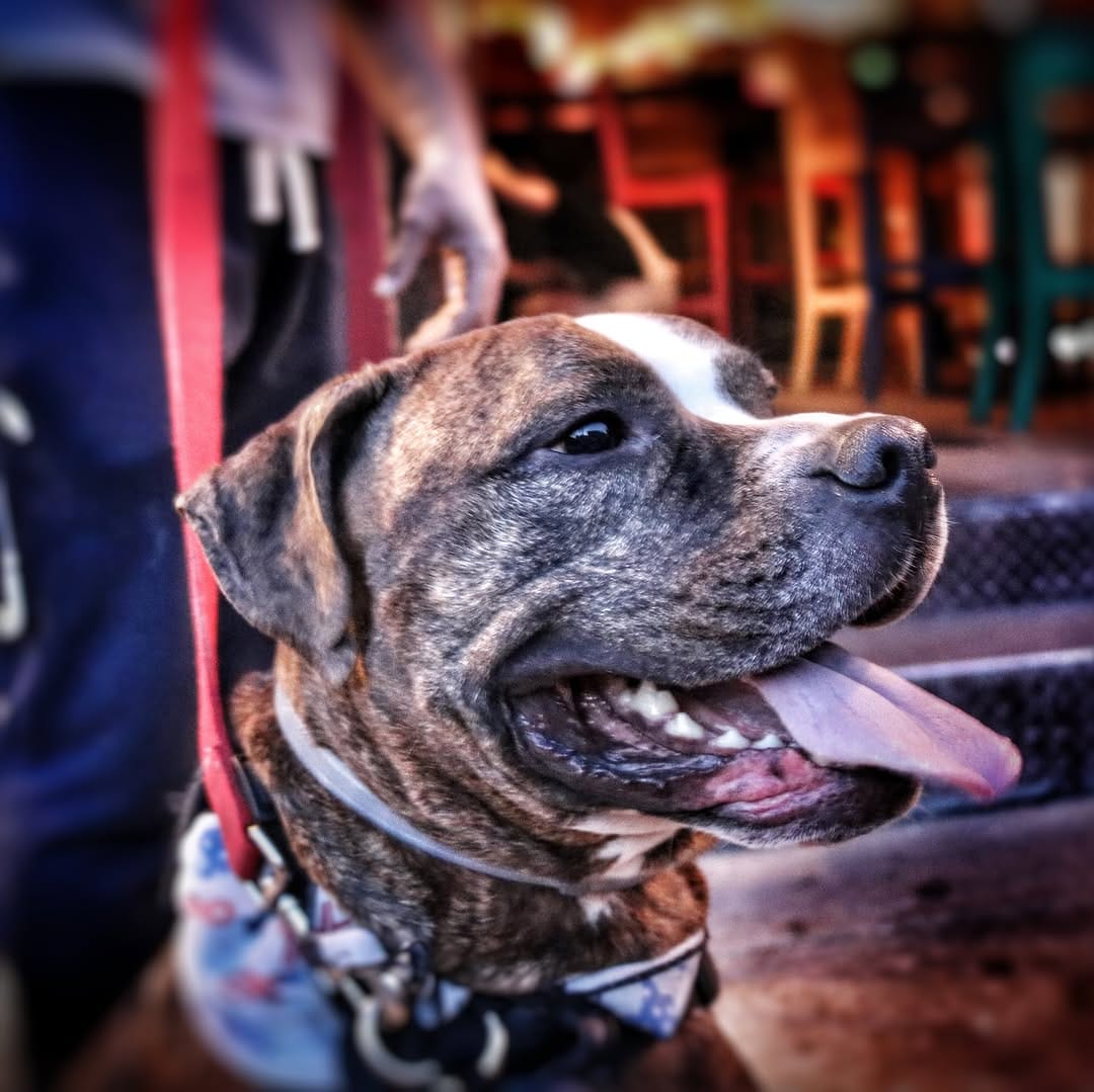 Post 3 by DJ Mike Lowry on Instagram (carousel)