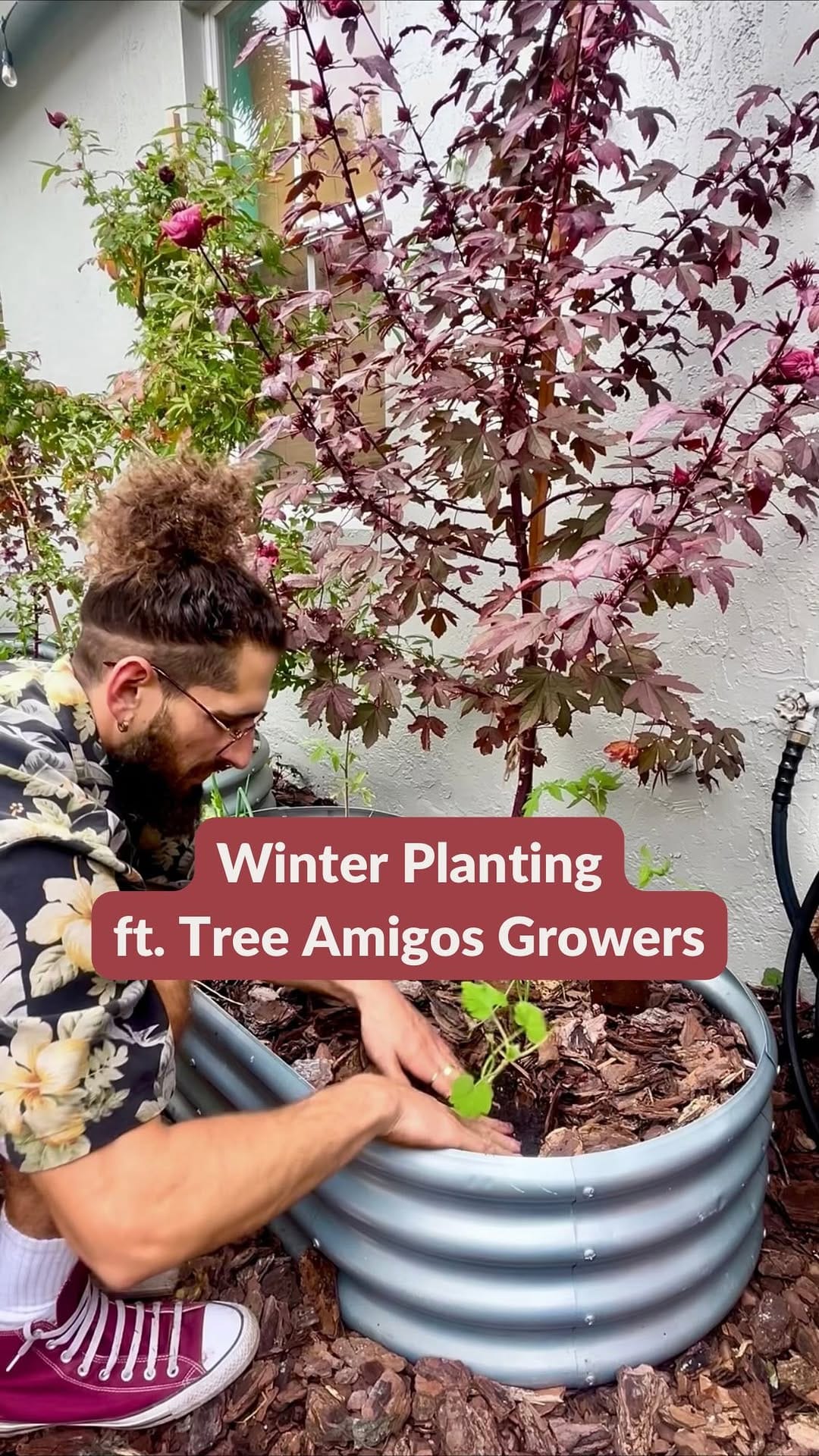 Post 6 by Tree Amigos Growers on Instagram (video)