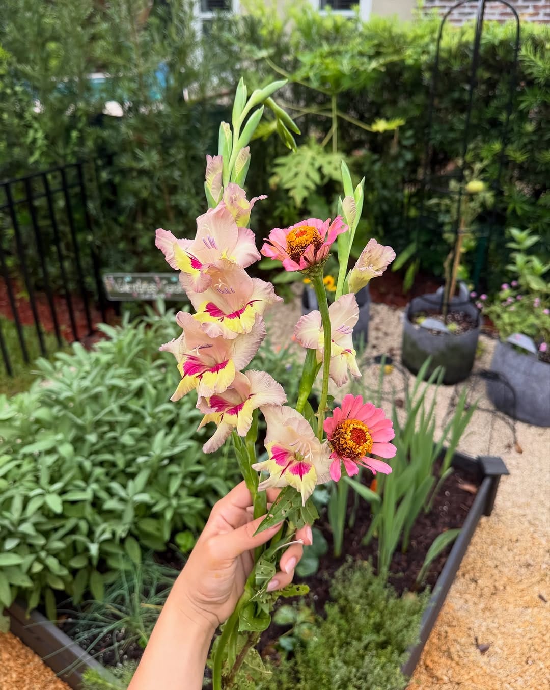 Post 5 by Tree Amigos Growers on Instagram (carousel)