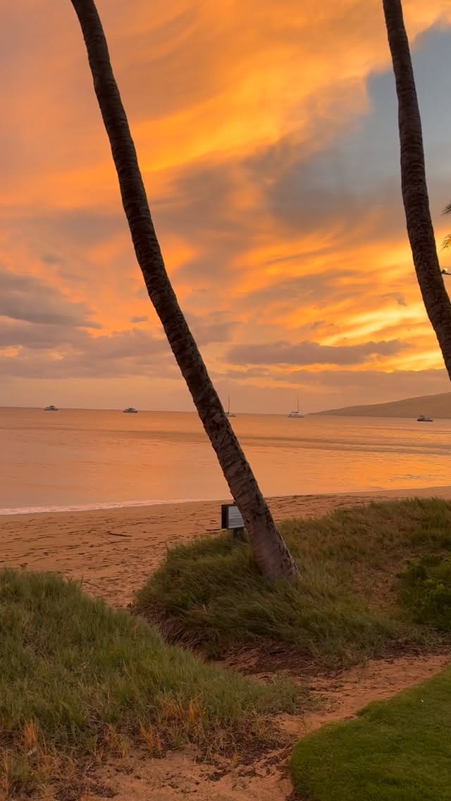 Post 10 by Maui Wedding + Events Venue on Instagram (video)