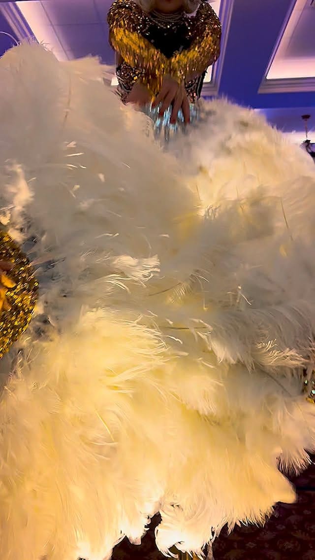 Post 7 by Earth Circus Productions on Instagram (video)