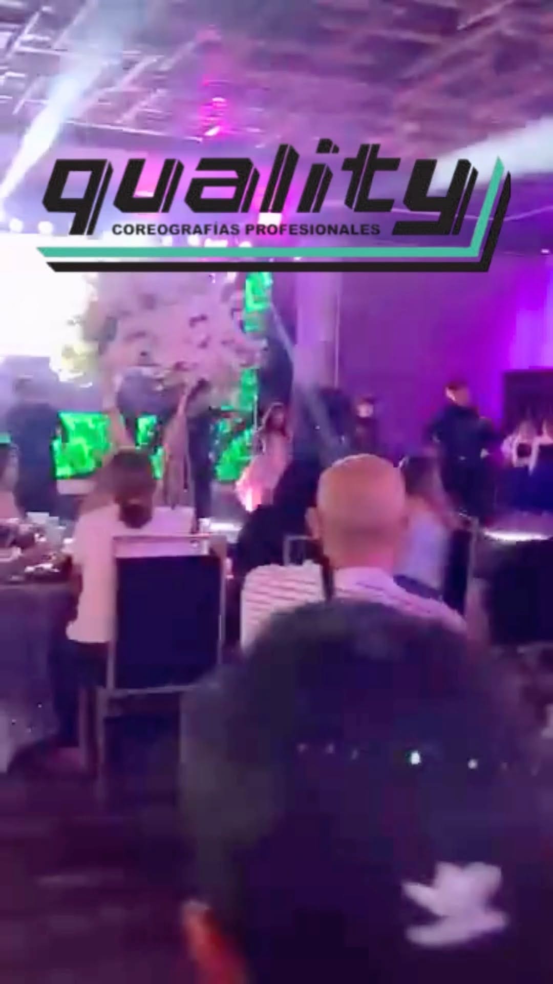Post 7 by Houston Quinceanera on Instagram (video)