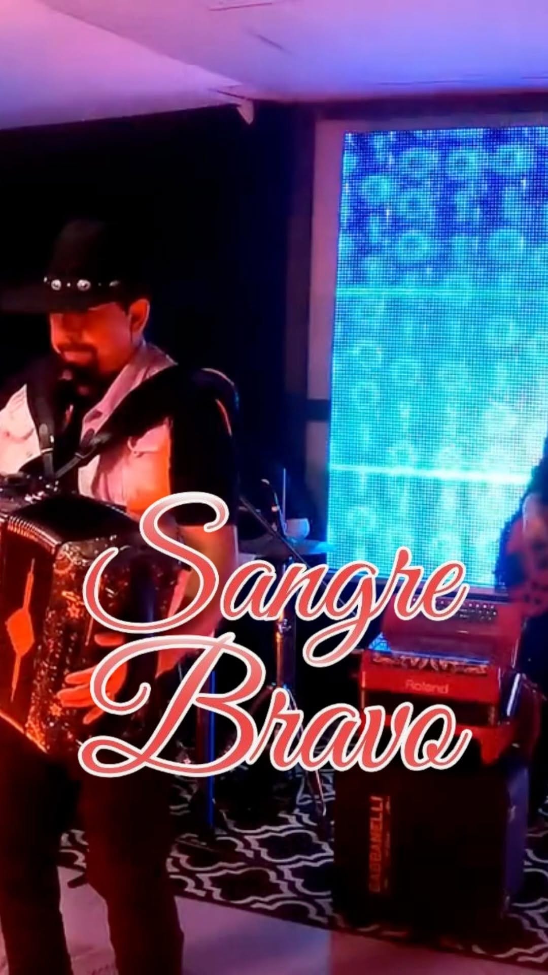 Post 6 by Houston Quinceanera on Instagram (video)
