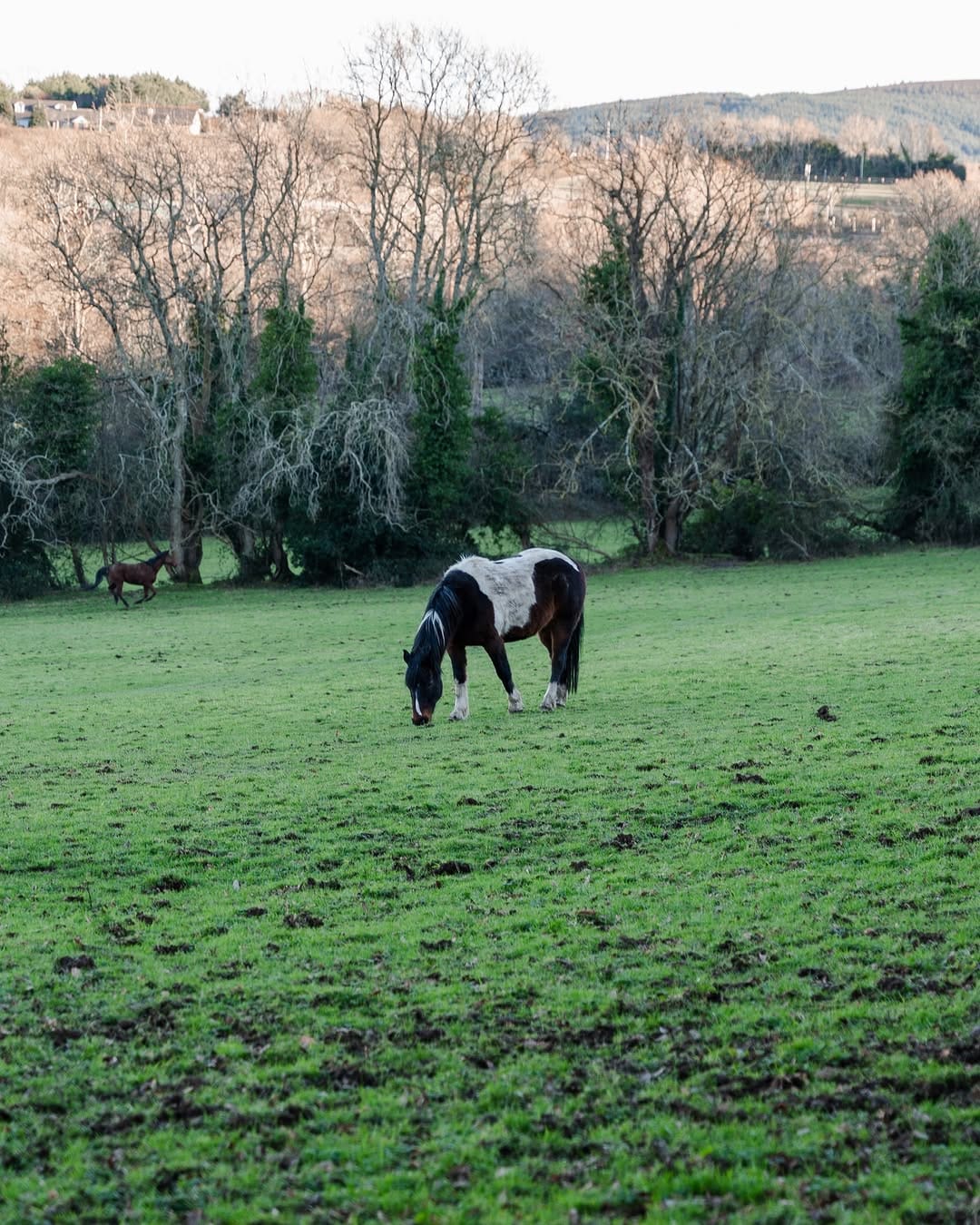 Post 2 by Orlagh House on Instagram (image)