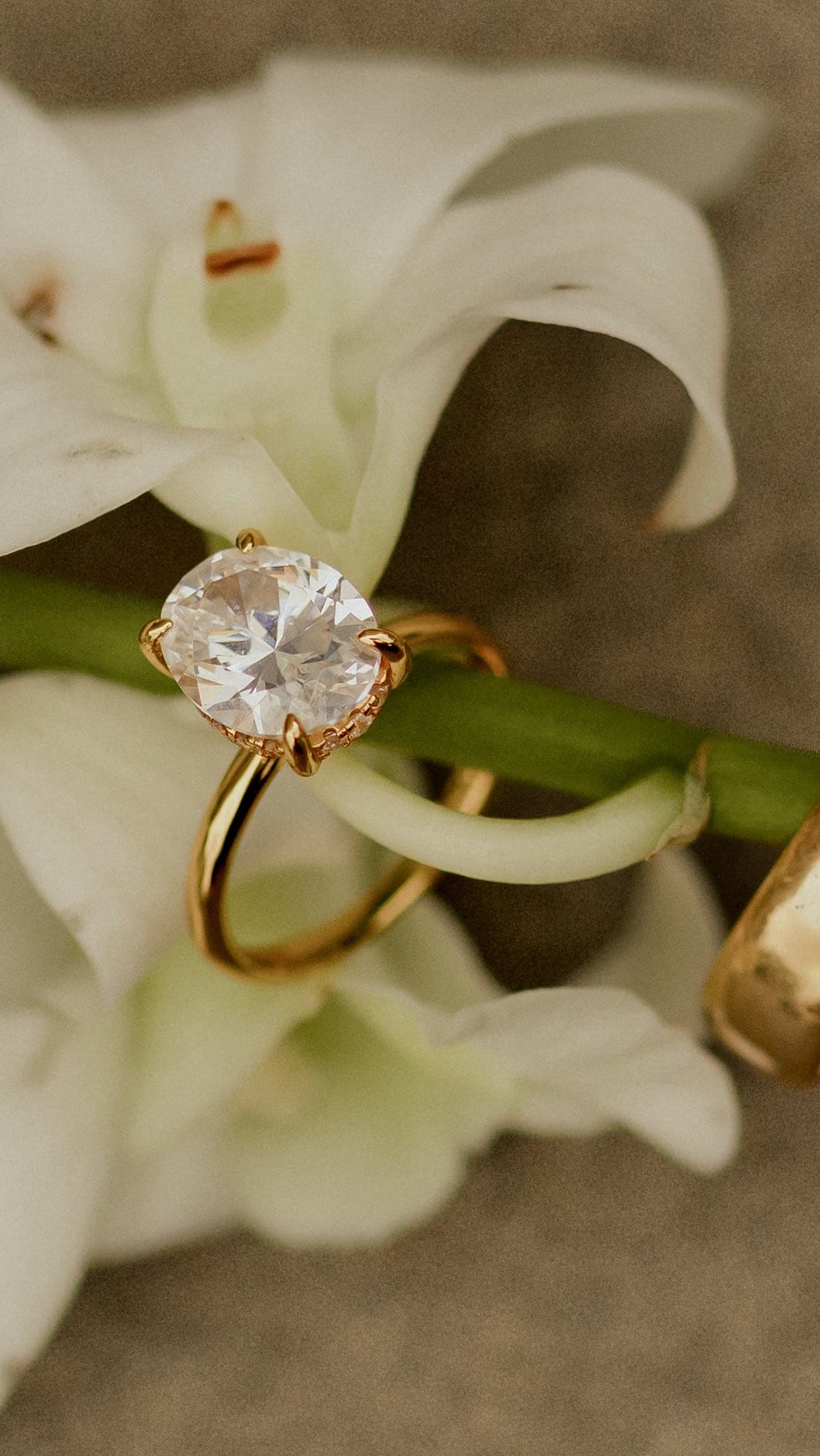 Post 10 by Texas Micro Weddings | Veronica on Instagram (video)