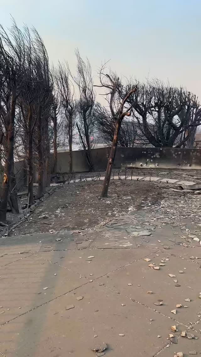 Post 7 by Whitney Campeau on Instagram (video)