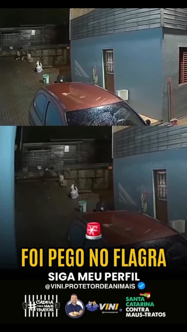 Post 7 by Causaanimal.sc on Instagram (video)