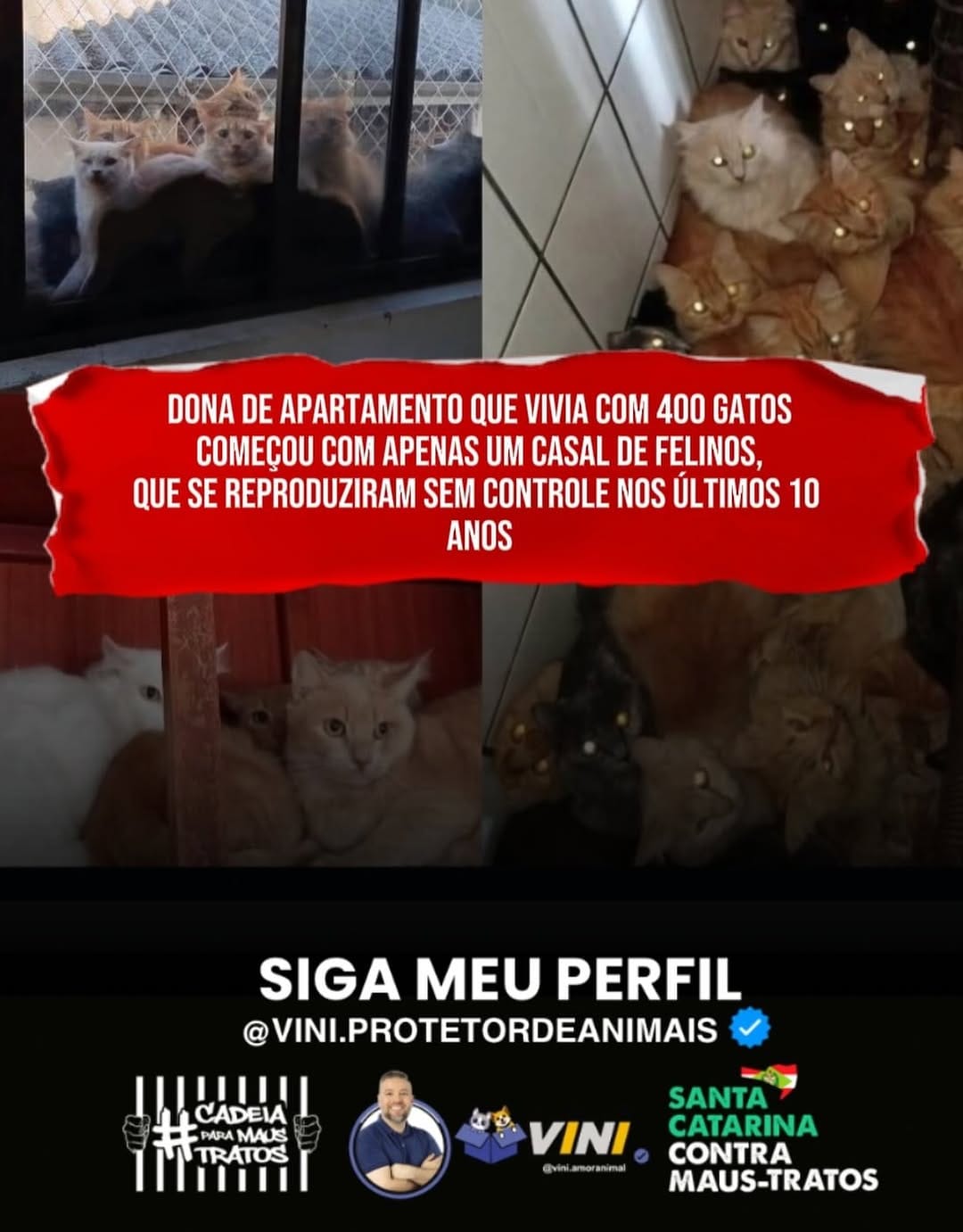 Post 4 by Causaanimal.sc on Instagram (image)