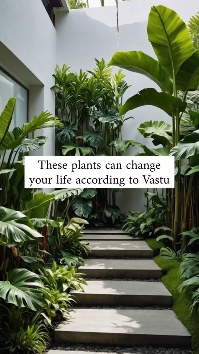 Post 6 by Payal | Interiors & Vastu on Instagram (video)
