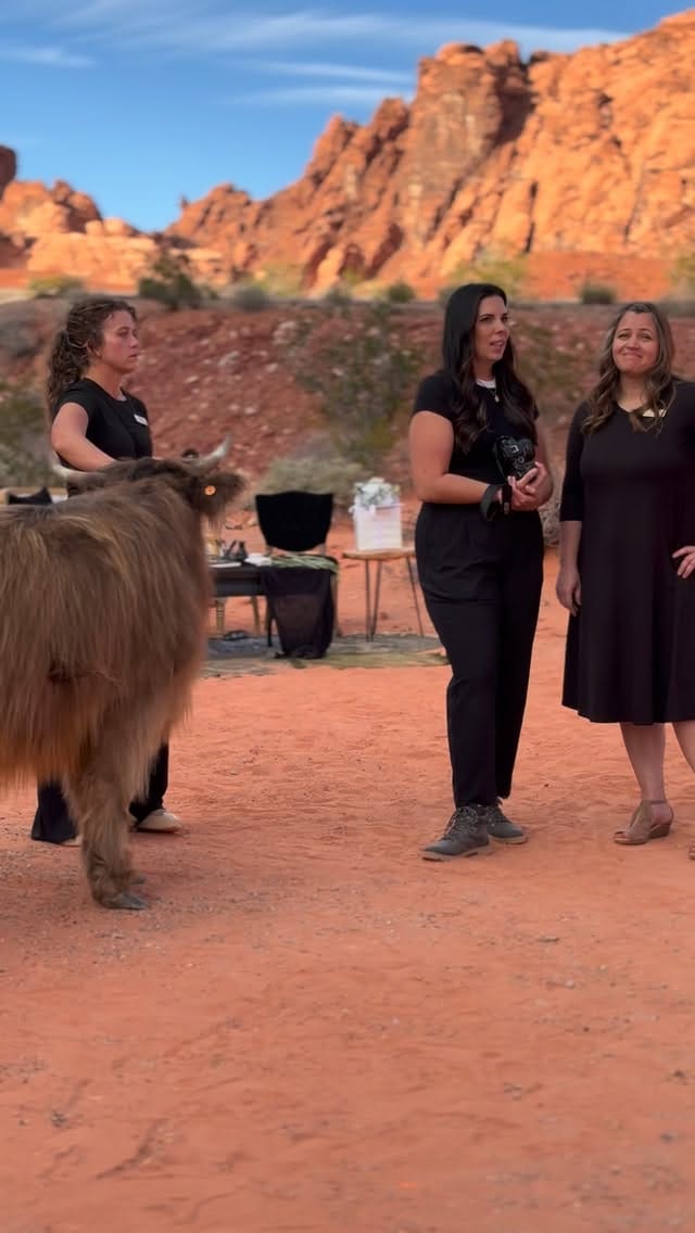 Post 3 by Cactus and Lace | Valley of Fire Wedding Planner | All-Inclusive on Instagram (video)
