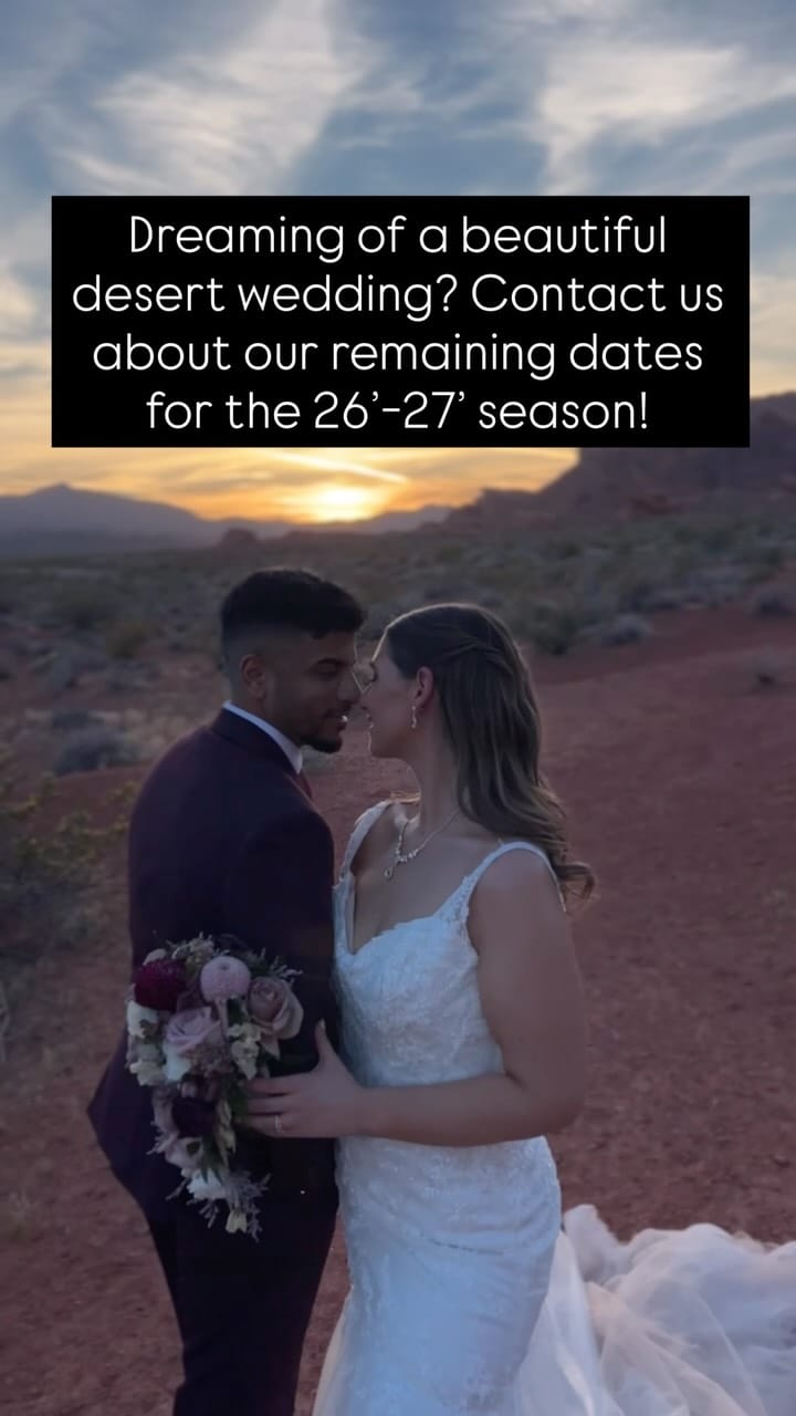 Post 2 by Cactus and Lace | Valley of Fire Wedding Planner | All-Inclusive on Instagram (video)