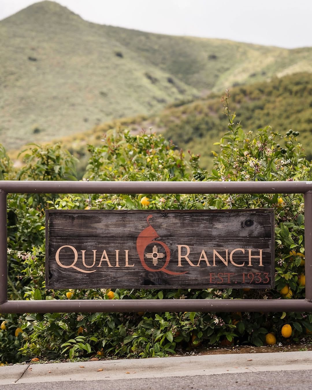 Post 10 by Quail Ranch on Instagram (carousel)