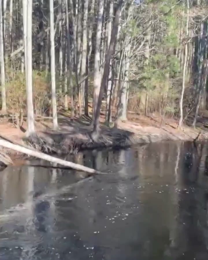 Post 7 by ㅤ ㅤ ㅤㅤJoel Hafele on Instagram (video)