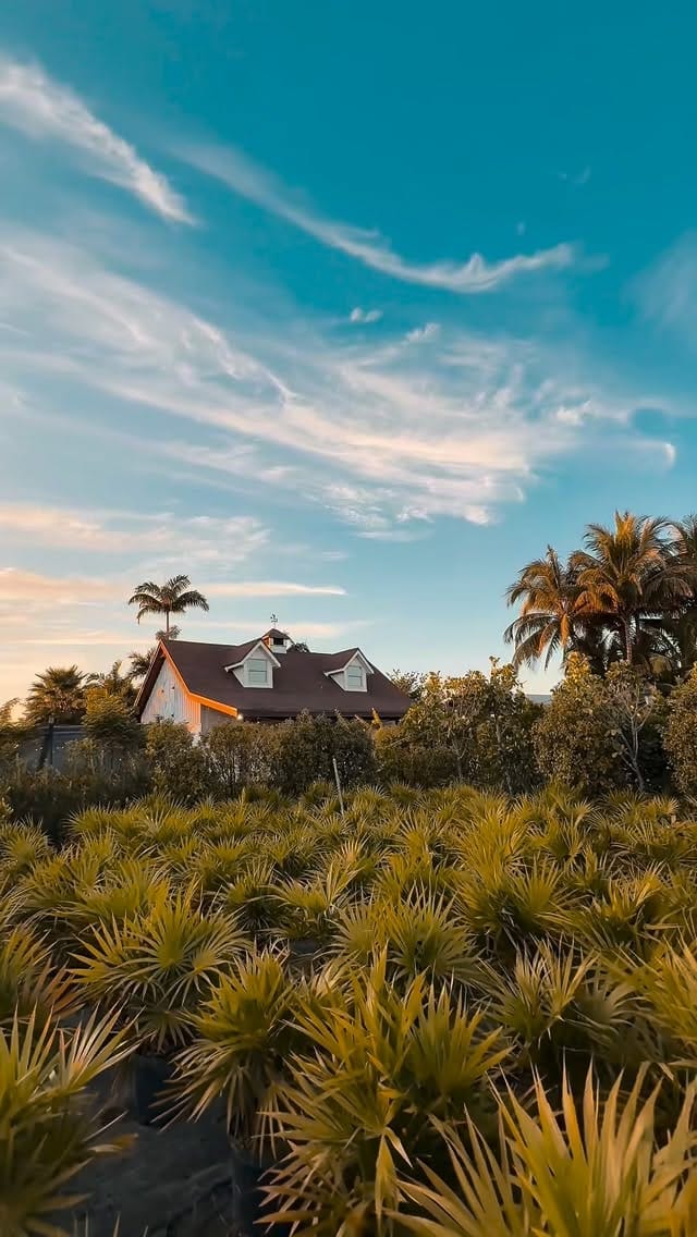 Post 10 by Redland Farm Life on Instagram (video)