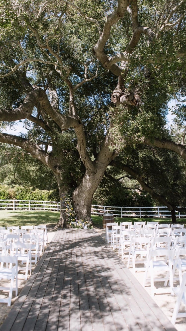 Post 9 by Circle Oak Ranch Weddings on Instagram (video)