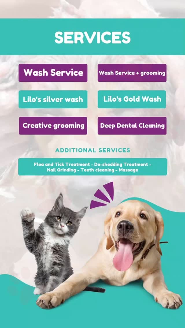 Post 9 by Lilo's Mobile Pet Spa 🐾🐩🚿🚐💈 on Instagram (video)