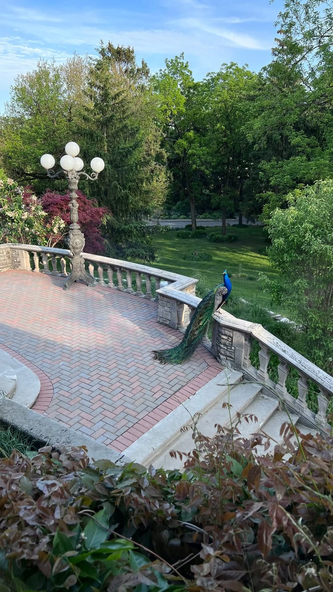 Post 10 by MEYER’S CASTLE - CHICAGO / NWI WEDDING VENUE on Instagram (video)