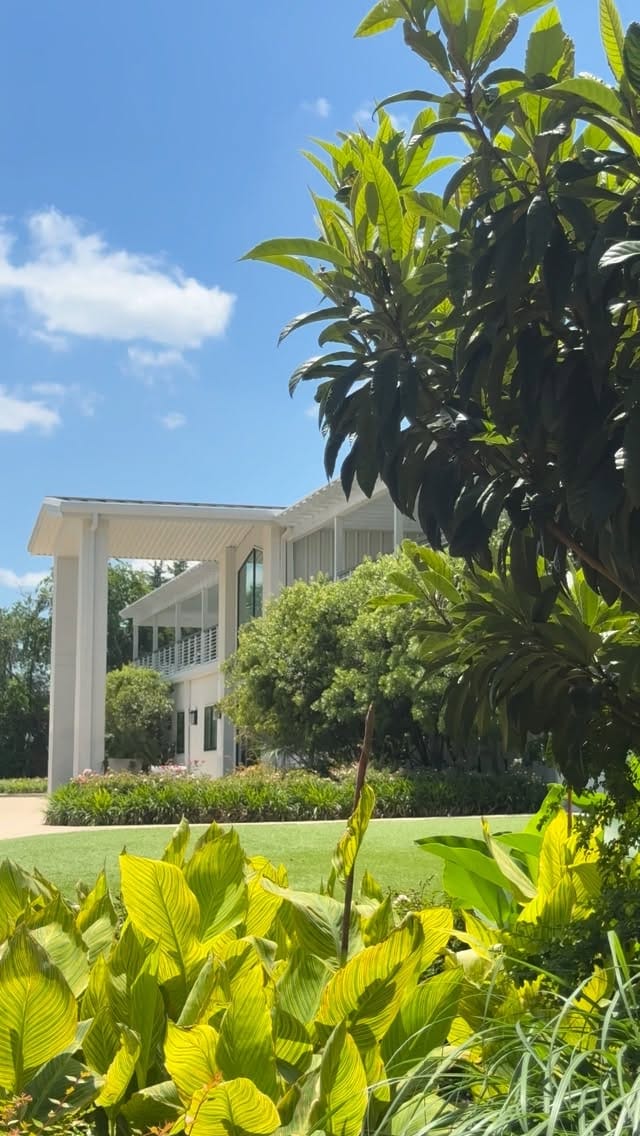 Post 4 by The Dallas Oasis on Instagram (video)