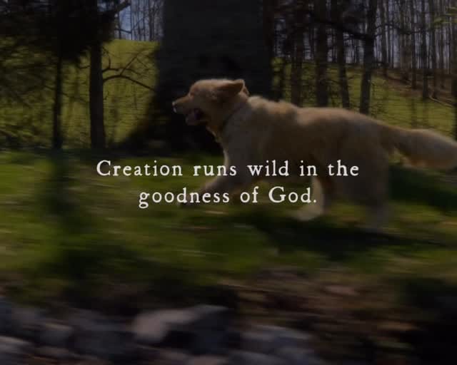 Post 1 by Jordee Arvin | Nashville Filmmaker & Director on Instagram (video)