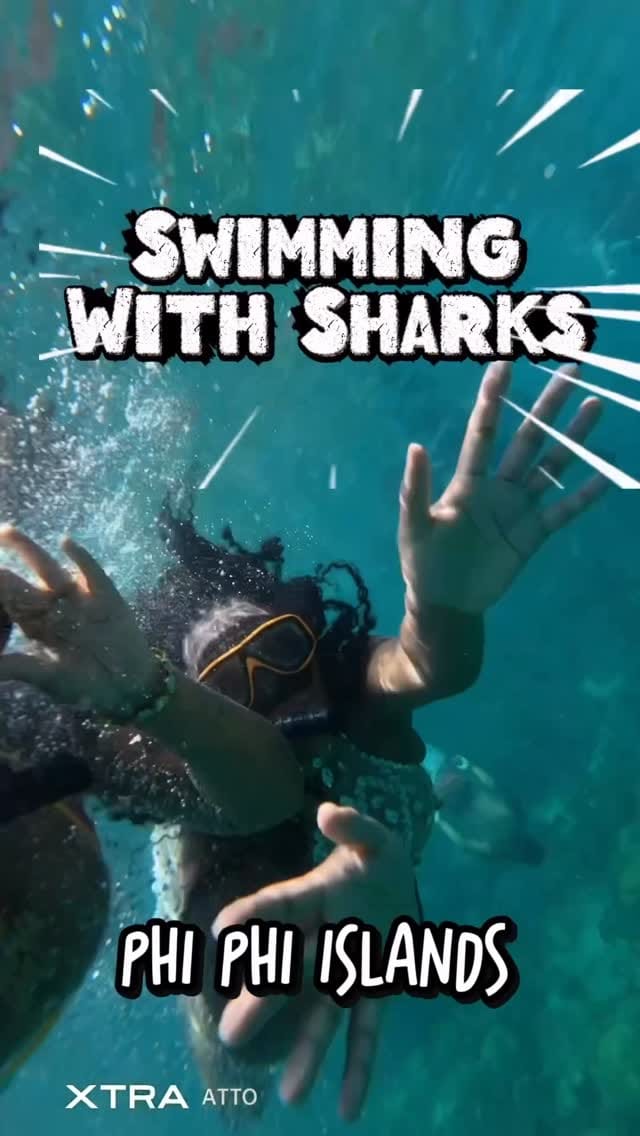 Post 9 by PookaUniverse on Instagram (video)