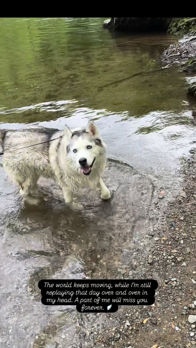 Post 4 by Aly DuBois on Instagram (video)